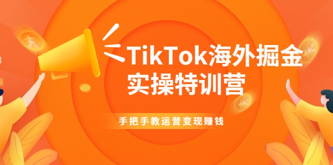 【副业2371期】TikTok海外掘金实操特训营：运营变现赚钱【视频课】