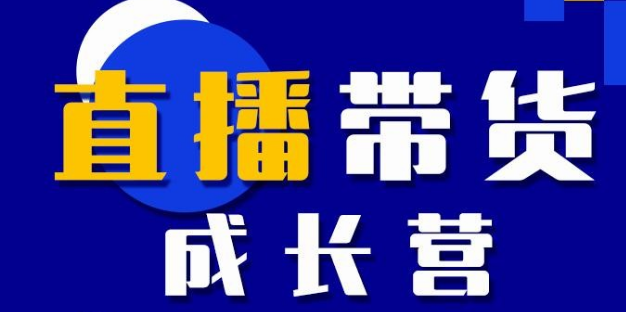 直播带货怎么做起来：实操快速通过直播带货变现抢占流量红利