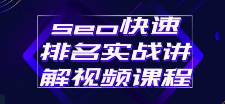 实战seo快排原理：玩转seo快速排名实操视频课程+软件