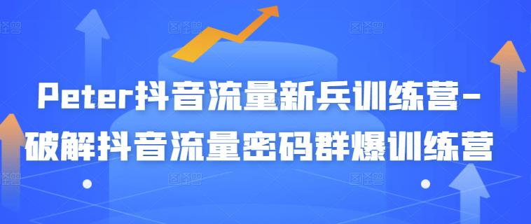 【副业3211期】抖音获取高流量的技巧：Peter抖音流量新兵训练营-破解抖音流量密码