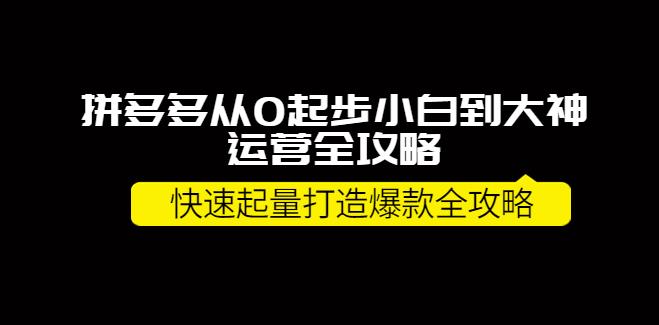 拼多多赚钱项目：拼多多从小白到大神打造10W+爆款全攻略